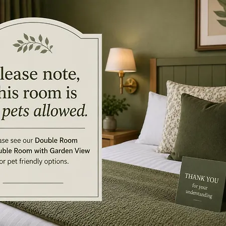 Hotel Olive House - Boutique