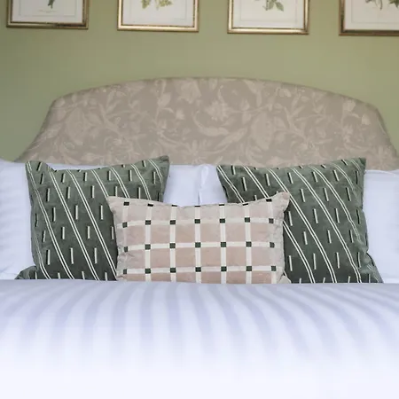 Hotel Olive House - Boutique