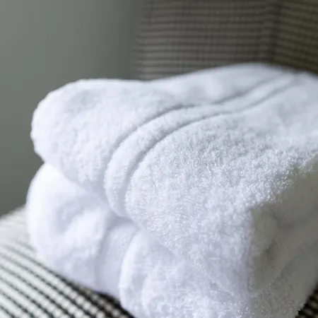 Hotel Olive House - Boutique