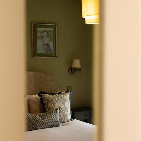 Olive House - Boutique